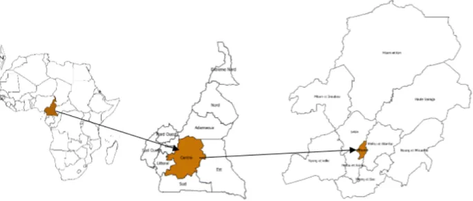 Figure 1. Localisation de la ville de Yaoundé. 
