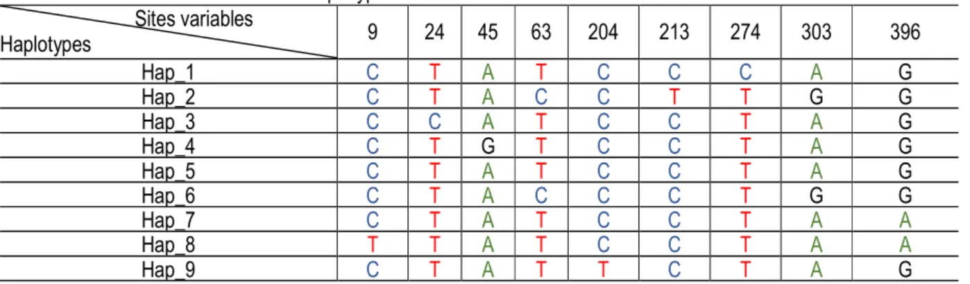 Table 5: Nucleotide frequencies according to the positions on the triplet of the total population 