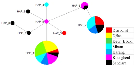 Figure 5: Haplotypes network based on sampled agro-ecological areas in Senegal: SBA: South Groundnut Basin;  CBA: Center of the Groundnut Basin; NBA: North of the groundnut Basin; BC: Low Casamance