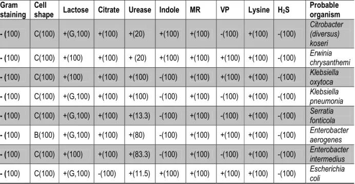 Table  3:  Identification  of  isolates  using  cultural  characteristics,  cell  morphology,  gram  staining  and  biochemical  techniques
