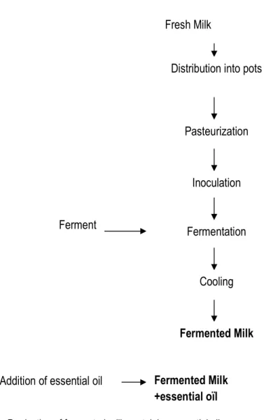 Figure  1  show  the  diagram  used  for  production  of  fermented milk in which essential oil was added