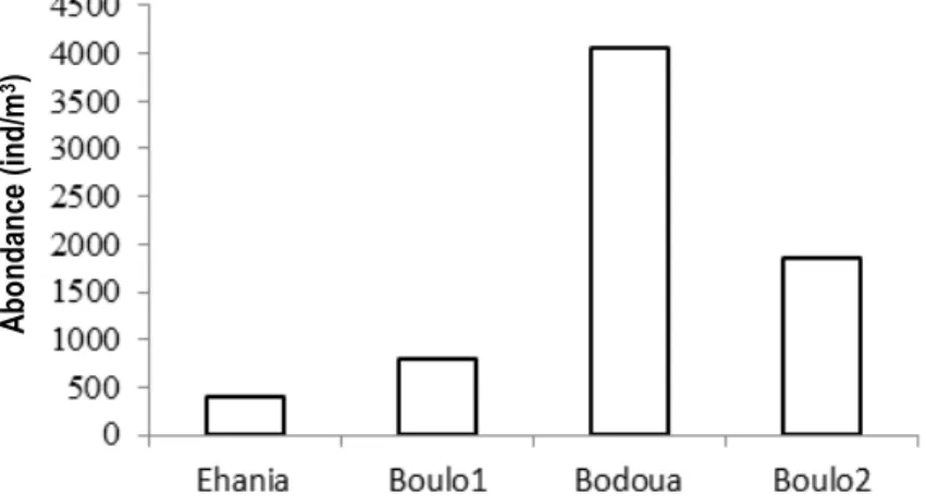 Figure 2 : Abondance totale moyenne du zooplancton total dans quatre rivières du Sud-est de la Côte d’Ivoire (Rivières  Ehania, Bodoua, Boulo1 et Boulo2)  
