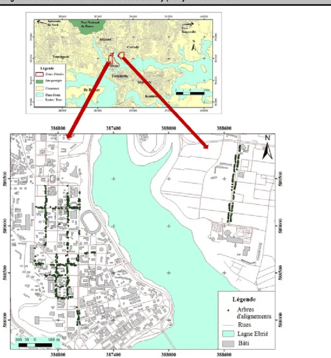 Figure 1 : Localisation des arbres d’alignement sur les différents sites d’étude  Collecte  des  données :  La  méthode  de  relevés 