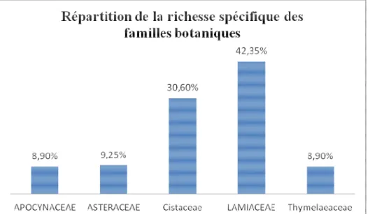 Figure  6 :  Familles  botaniques  les  plus  représentées  dans  la  zone  étudiée  (Enquête  début  mois  de  mars  au  fin  août 2014) ; 