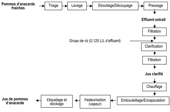 Figure 1 : Diagramme technologique de la production du jus de pommes d’anacarde.  