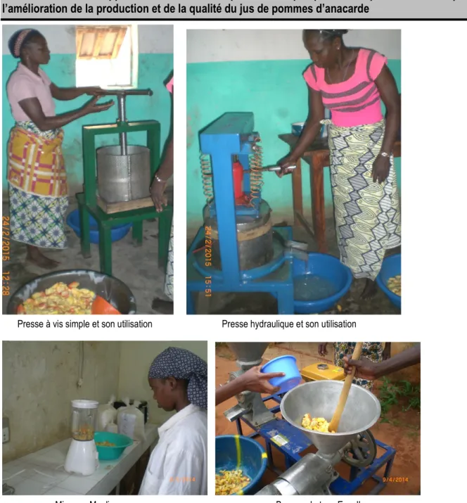 Figure 2 : Équipements utilisés pour l’extraction du jus de pommes d’anacarde.  Méthode  d’analyse  de  laboratoire:  Les  analyses  de 