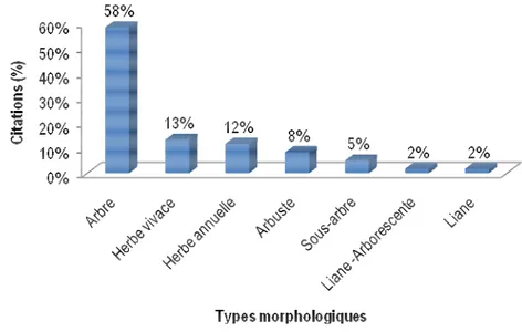 Figure 3  : Histogramme (% en citation) des types morphologiques.  Les  proportions  de  la  distribution 
