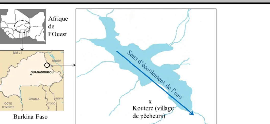 Fig. 1 : Localisation du lac de Higa (300 ha) au nord-est du Burkina Faso  Échantillonnages  des  poissons :  Selon  les  études 