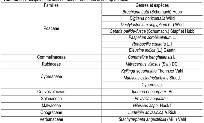 Tableau 3 : Principales adventices rencontrées dans le champ de fonio 