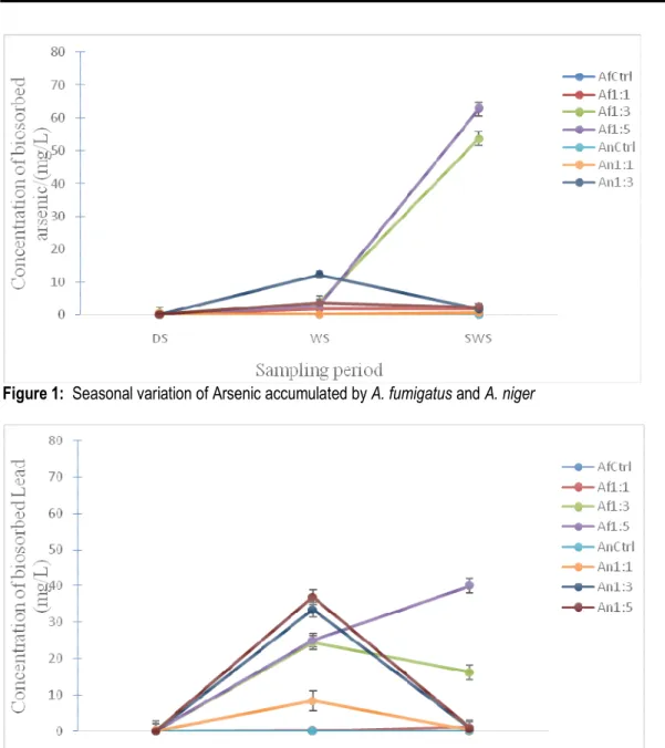 Figure 2:  Seasonal variation of Lead accumulated by A. fumigatus and A. niger 