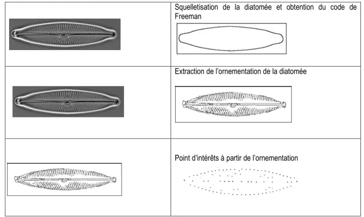 Figure 13 : Extraction des caractéristiques 
