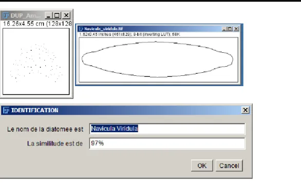 Figure 16 : Résultat de l’identification automatique de la diatomée 