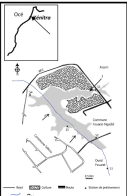 Figure 1 : Carte de la Merja Fouarat 