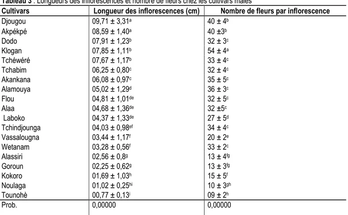 Tableau 3 : Longueurs des inflorescences et nombre de fleurs chez les cultivars mâles 