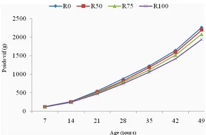 Figure 1 : Effet du taux d’incorporation de la farine de patate douce dans l’aliment sur l’évolution hebdomadaire du  poids vif du poulet de chair 