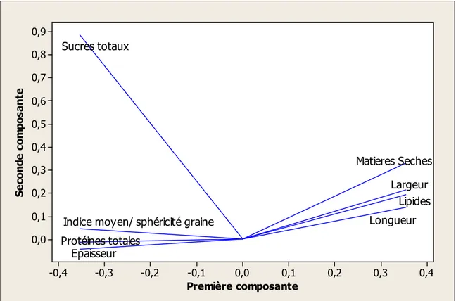 Figure  2  :  Relation  entre  les  caractéristiques  physiques  et  la  composition  chimique  des  graines  des  2   morphotypes de P