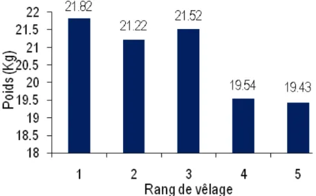Figure 3 : Variation du poids à la naissance des veaux en fonction du rang de vêlage 
