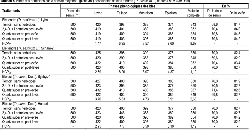 Tableau 5. Effets des herbicides sur la densité moyenne  (plants/m 2 ) des variétés de blés tendres (Tr