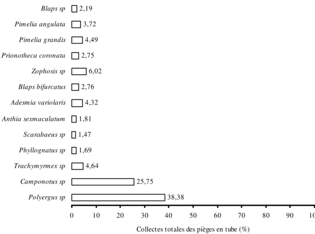 Figure  1 :  Composition  et  structure  moyenne  des  insectes  capturés  avec  les  pièges  en  tube  pendant  la  période  d’observation dans la vallée du Tafidet (2004-06)