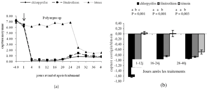 Figure 2 :  Capture moyenne de Polyergus sp.  avant et après traitement (a) et capture post-traitement corrigée (±SE)  par rapport au témoin (b)
