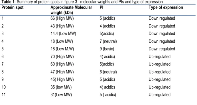 Table 1: Summary of protein spots in figure 3   molecular weights and PIs and type of expression  Protein spot  Approximate Molecular 
