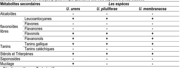Tableau 2 : Résultats de l’analyse phytochimique qualitative des trois espèces d’Urtica étudiées 