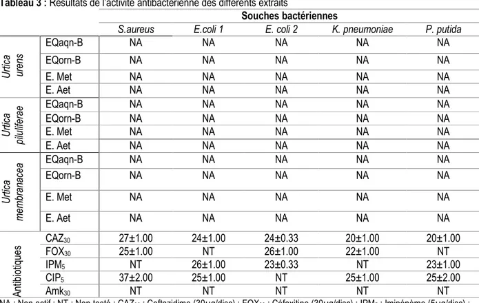 Tableau 3 : Résultats de l’activité antibactérienne des différents extraits 