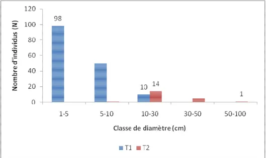 Figure 4: Distribution du nombre d'individus par classes de diamètre   Les hauteurs tout comme les diamètres se repartissent 