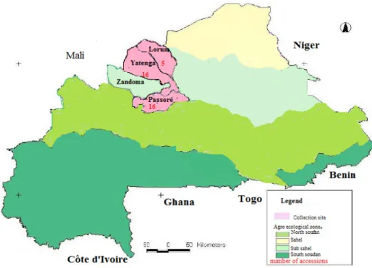 Figure 1 : Zone d’origine des accessions  Méthode 