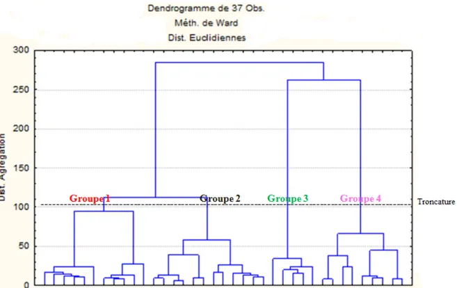 Figure 2 : Classification ascendante hiérarchique des 37 accessions de sorghos à grains sucrés du nord du Burkina  Faso