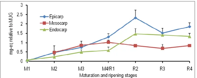 Figure  3:  Spatiotemporal  changes  in  the  levels  of  caffeoylquinic  acid  in  the  epicarp,  mesocarp  and  endocarp  of  tomato fruits at different maturation (M) and ripening (R) stages