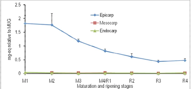 Figure 6: Spatiotemporal changes in the levels of kaempferol-glc-rhamnose in the epicarp, mesocarp and endocarp  of tomato fruits at different maturation (M) and ripening (R) stages