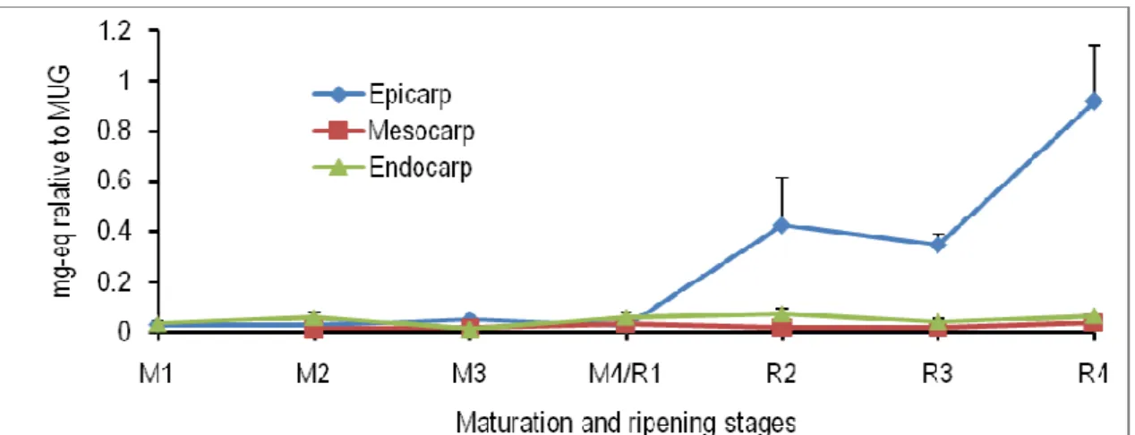 Figure  8:  Spatiotemporal  changes  in  the  levels  of  naringenin-chalcone-hexose  in  the  epicarp,  mesocarp  and  endocarp of tomato fruits at different maturation (M) and ripening (R) stages