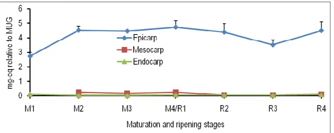 Figure 9: Spatiotemporal changes in the levels of quercetin-glc-rhamnose in the epicarp, mesocarp and endocarp of  tomato fruits at different maturation (M) and ripening (R) stages