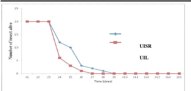 Figure 1: Survival of C. maculatus depending of the experimental.  UISR: Unfed insects exposed to sun radiations, UIL: Unfed  insects maintained in the laboratory