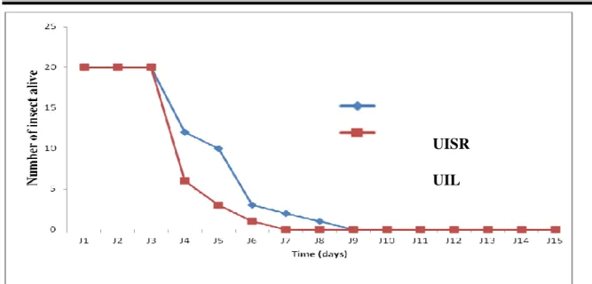 Figure 1: Survival of C. maculatus depending of the experimental.  UISR: Unfed insects exposed to sun radiations, UIL: Unfed  insects maintained in the laboratory