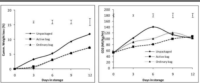 Figure 2: Changes in respiration rates of ‘Tommy Atkins’  mango  fruits  which  were  left  unpackaged  (control),  packaged  in  ordinary  polythene  bags  or  Activebag®.Top  bars  show  the  least  significant  difference  (LSD)  of  five  means at each