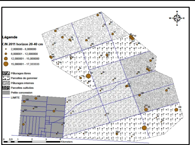 Figure 7 : Variation spatiale du rapport C/N de l’horizon 20-40 cm en 2011  Les rapports C/N les plus importants, de l’horizon 20-40 