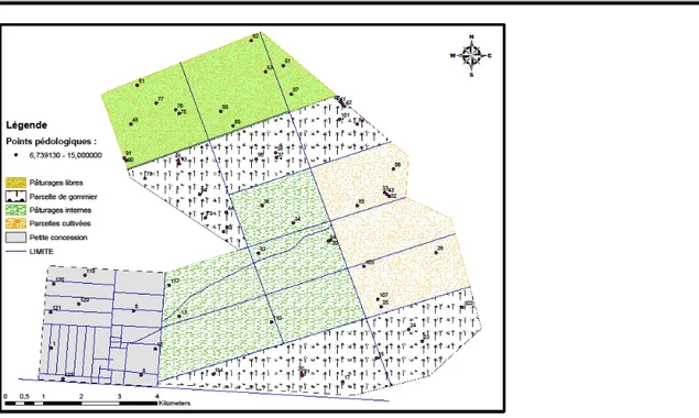 Figure 2 : Localisation des points pédologiques (échantillon de sol) de la station de Dahra  Des  ANOVA  ont  été  réalisées  avec  le  logiciel 