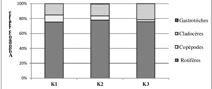 Figure 1 : Contribution des rotifères, des copépodes, des cladocères et des gastrotriches à l’abondance du  zooplancton au niveau de chaque station