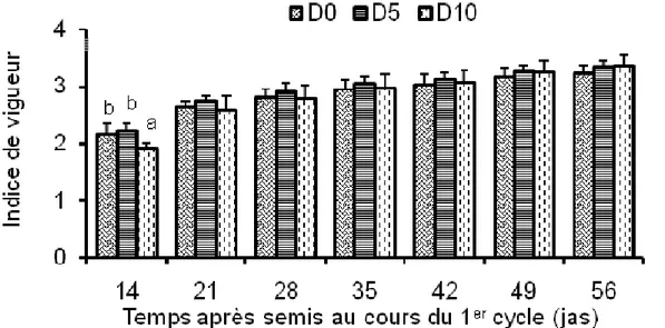 Figure 5 : Évolution des indices  de  vigueur moyens  des  plants de maïs,  en fonction des doses de carbone et du  temps après semis, au cours du 1er cycle