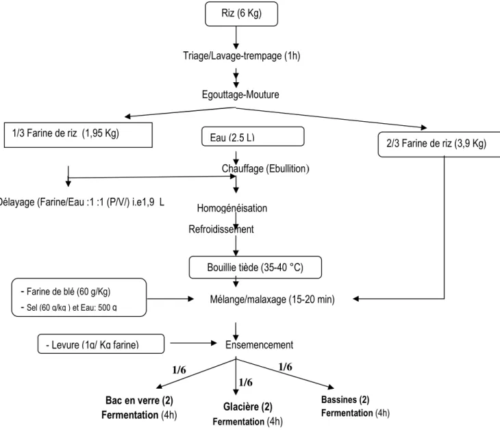 Figure 1: Fermentation de la farine du riz dans trois dispositifs  Expérimentation  