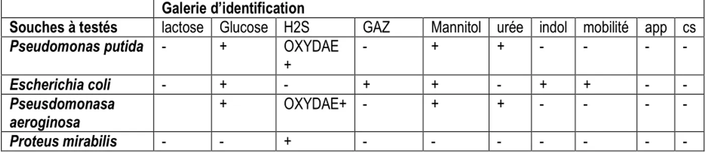 Tableau 3 : Activité antimicrobienne de l’huile essentielle du teucrium capitatum   Huile essentiel (H .E 