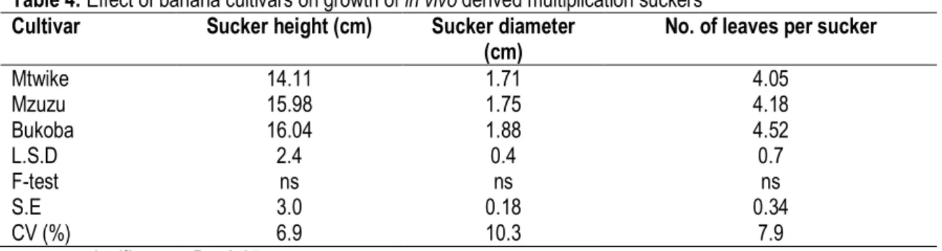 Table 4: Effect of banana cultivars on growth of in vivo derived multiplication suckers  Cultivar  Sucker height (cm)  Sucker diameter 