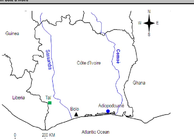 Figure 2: Map showing the geographical localities from which the specimens of M. edwardsi were collected in Côte  d’Ivoire