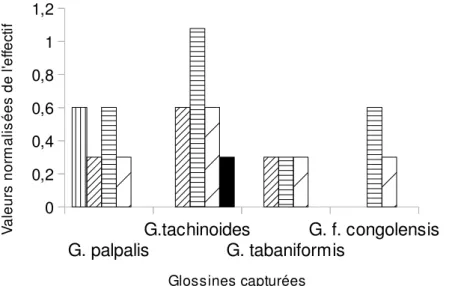 Figure 4 : profils d’activité journalière des glossines dans le Parc National de l’Ivindo  DISCUSSION 