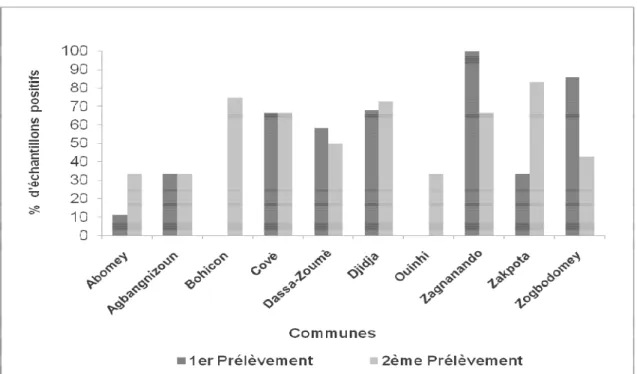 Figure 3 : Pourcentage d'échantillons de lait positifs aux résidus d’antibiotiques des différentes communes en fonction de  la période de prélèvement 