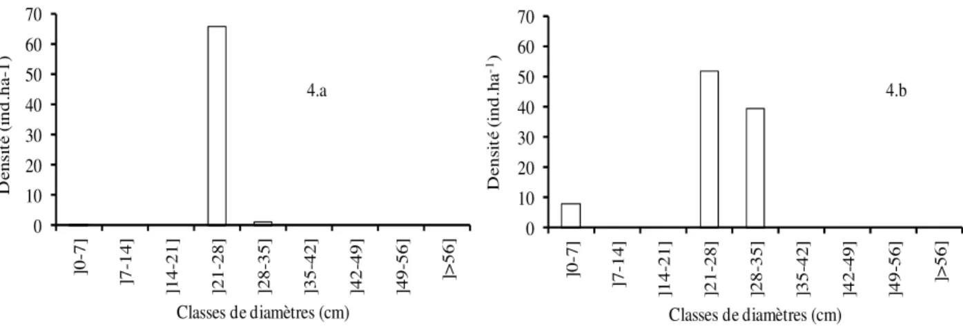 Tableau 4 : Diversité des groupements à l’échelle des relevés (Gr1 Parc à Borassus akeassii ; Gr2 Parc à Neocarya  macrophylla, Detarium senegalense et Combretum glutinosum ; Gr3 Parc à Borassus akeassii et Faidherbia albida ;  Gr4 Parc à Detarium senegale
