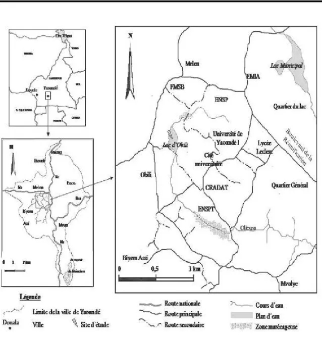 Figure 1 : Présentation du site d’étude dans la ville de Yaoundé.   RÉSULTATS  