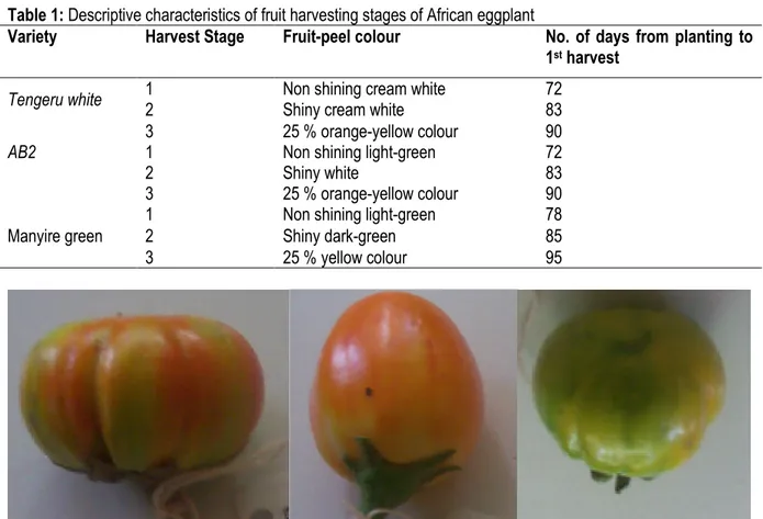 Table 1: Descriptive characteristics of fruit harvesting stages of African eggplant  